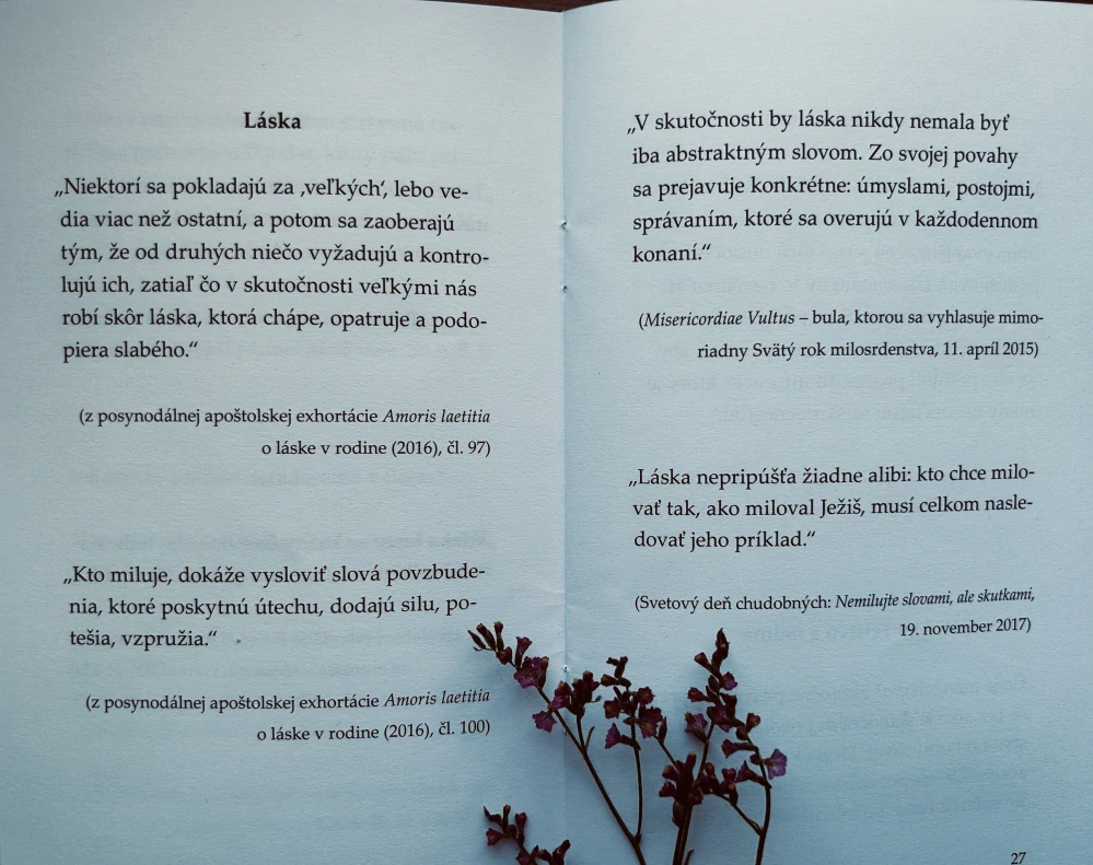 Myšlienky pápeža Františka