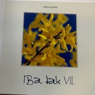 Iba tak VII - Anton Lauček
