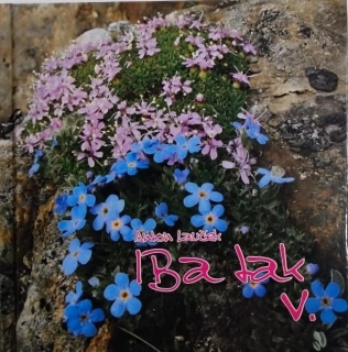 Iba tak V. - Anton Lauček